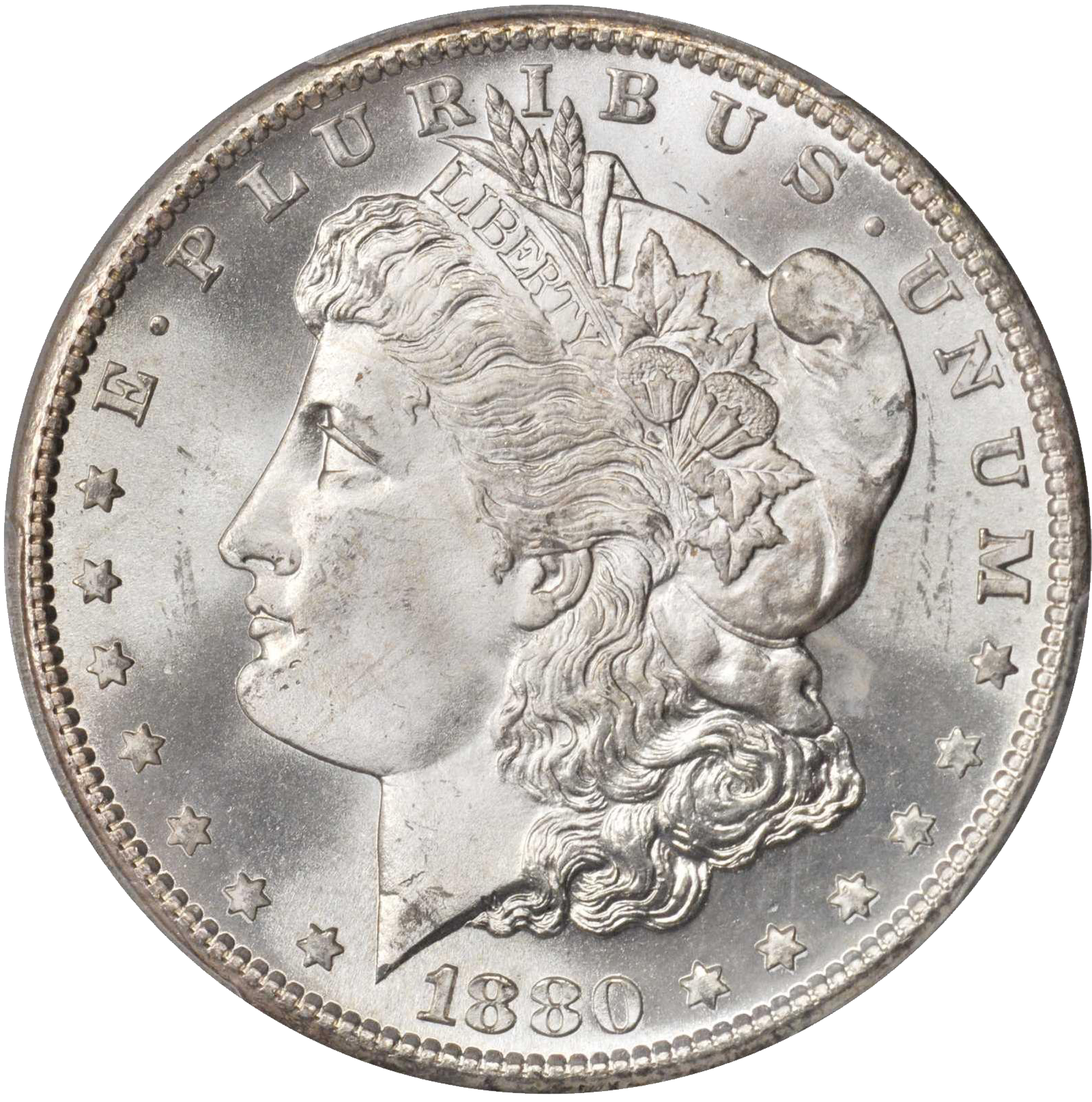 1880 Silver Dollar Value