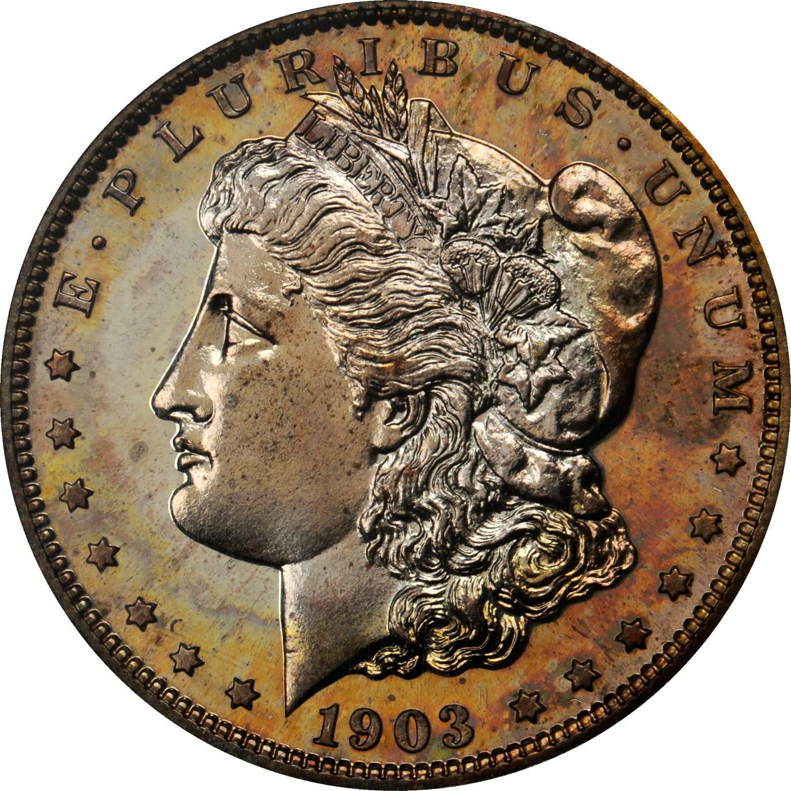 https://coinappraiser.com/wp-content/uploads/2016/08/Morgan-Dollars-1903-Obverse.jpeg