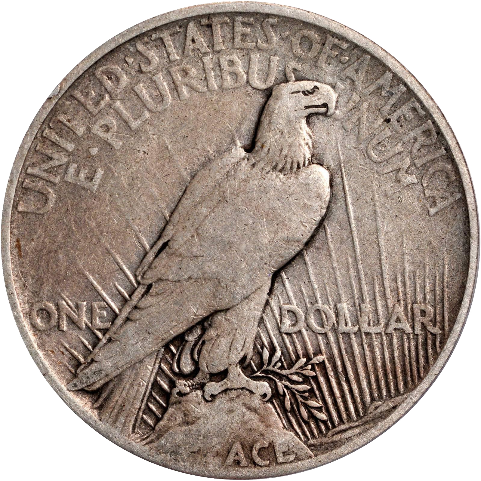 value-of-1926-silver-peace-dollar-rare-peace-dollar-buyer