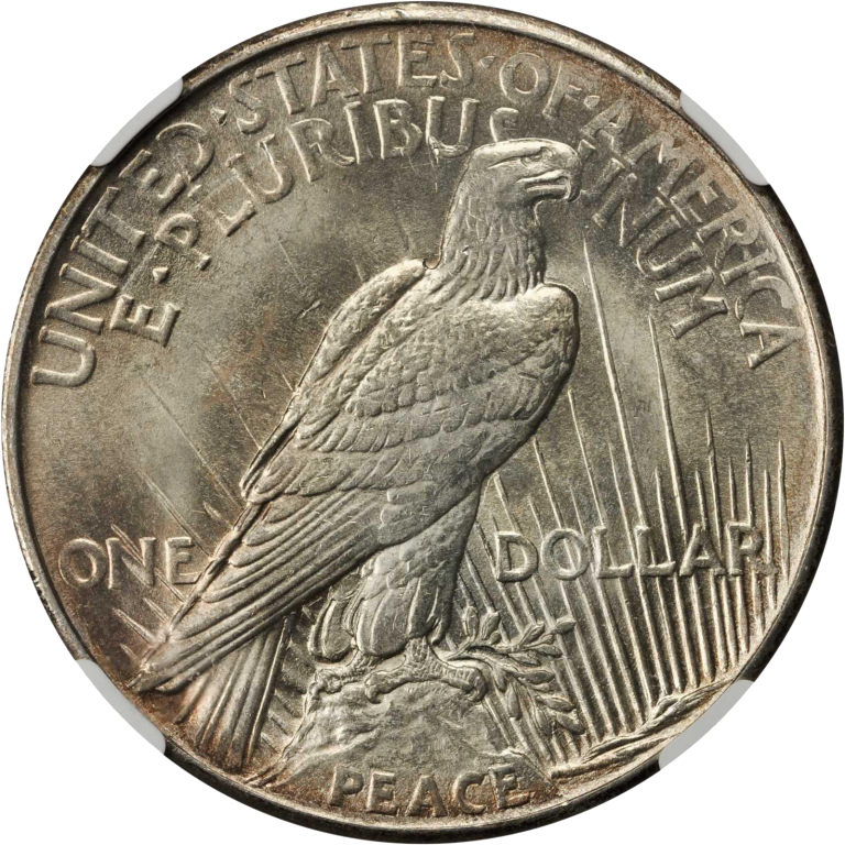 value-of-1925-silver-peace-dollar-rare-peace-dollar-buyer