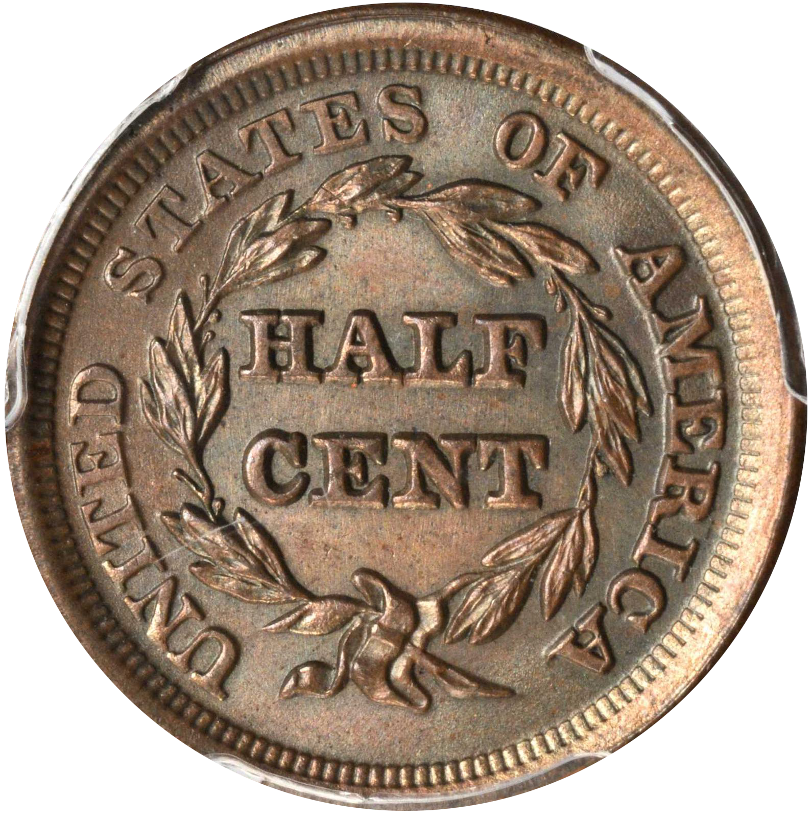 Braided Hair Half Cents - Price Charts & Coin Values