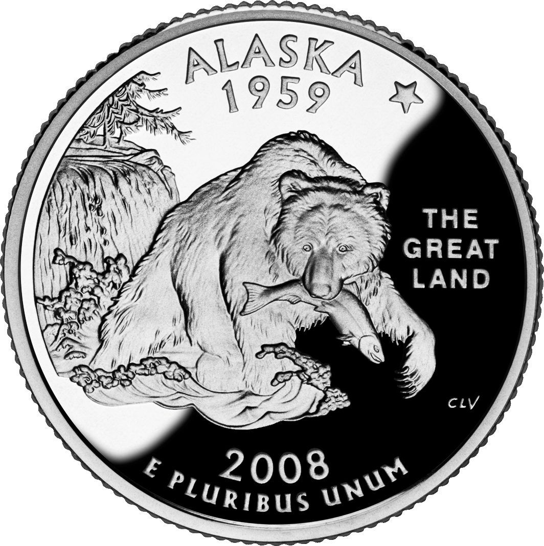 50 State Quarters (1999-2008) Image
