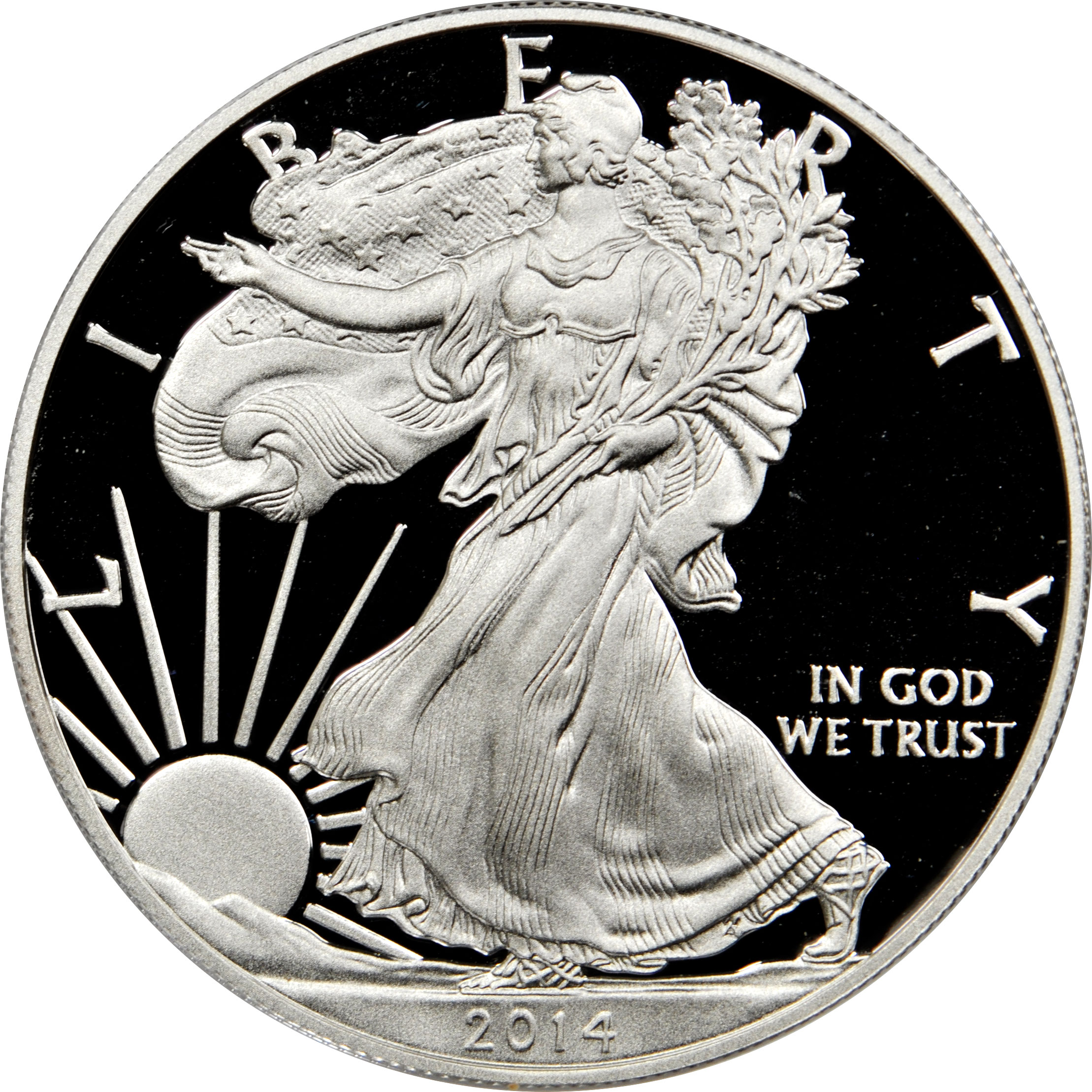 2014 W American 1 oz Silver Eagle Dollar PROOF US Mint 
