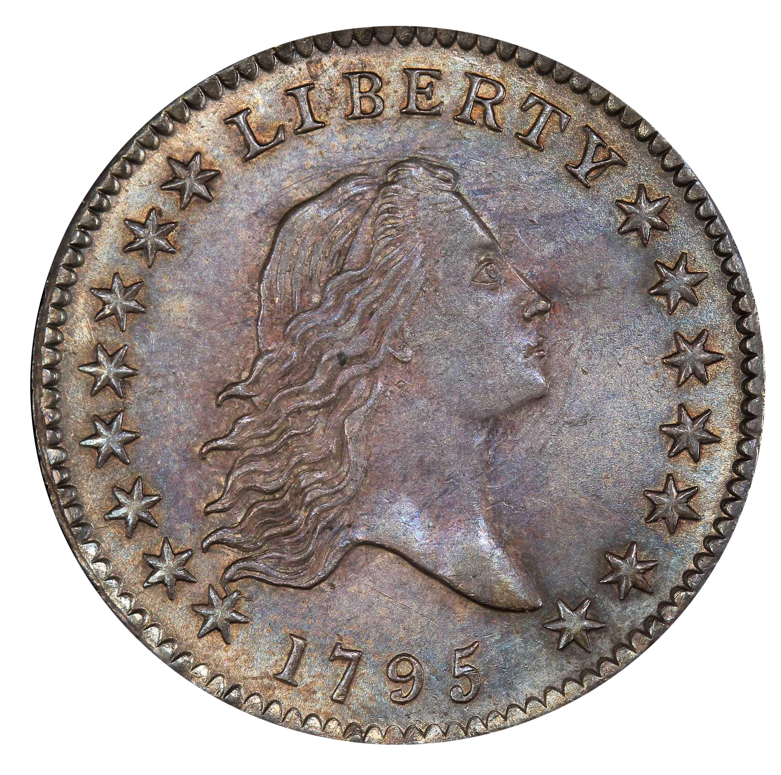 Value of 1795 Flowing Hair Half Dollar | Rare Coin Buyers