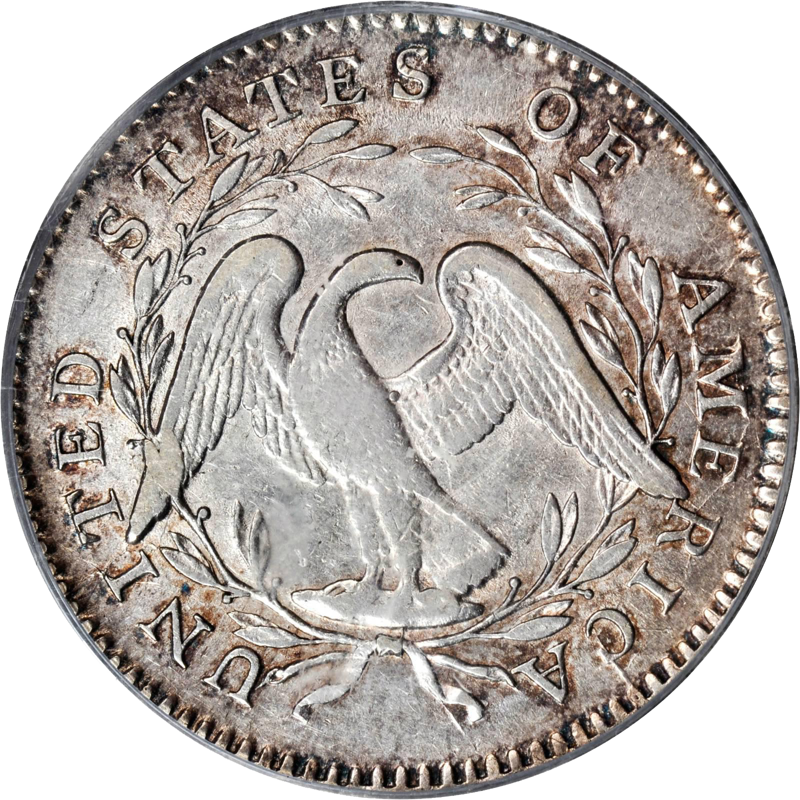 Value of 1795 Flowing Hair Half Dollar | Rare Coin Buyers