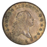 Flowing Hair Half Dollar (1794-1795) Image